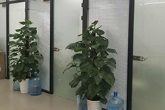 杭州京督学府西湖校区