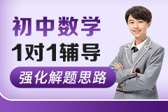 初中数学1对1辅导