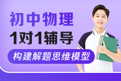 初中物理1对1辅导