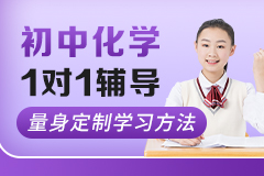 初中化学1对1辅导