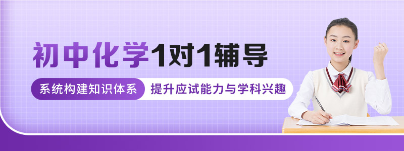 初中化学1对1辅导