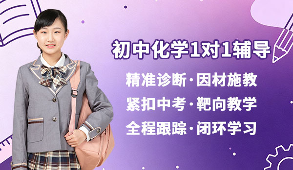 初中化学1对1辅导