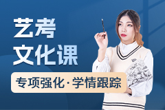 艺考文化课