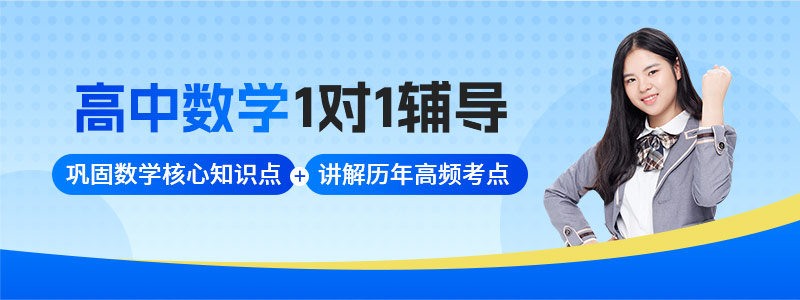 高中数学1对1辅导