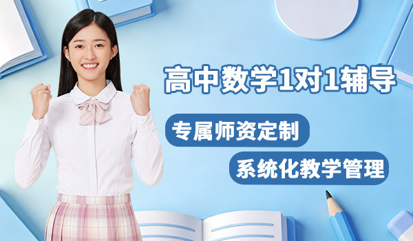 高中数学1对1辅导